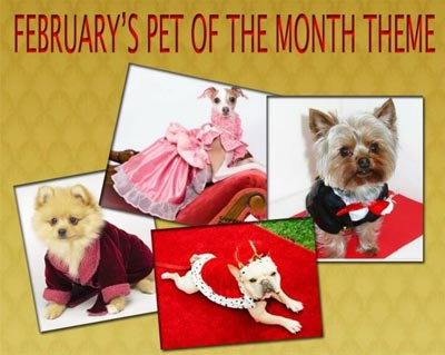 February's Pet of the Month Theme