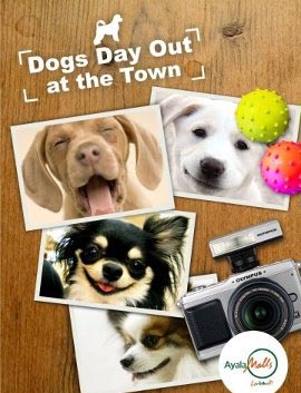 Dogs Day Out at the Town