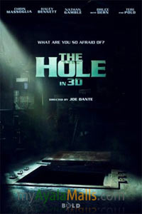 The Hole 3D (2010)