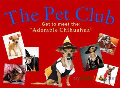 The Pet Club