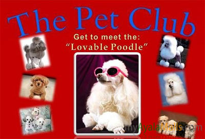 The Pet Club