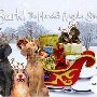 Dogs Day Out at the Town Christmas Party