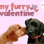 My Furry Valentine