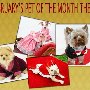 February's Pet of the Month Theme