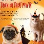 Bow & Wow: Trick or Treat Pawty