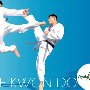 Tae Kwon Do