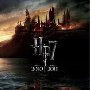Harry Potter and the Deathly Hallows: Part 1 (2010)