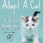 Adopt A Cat