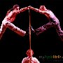 French Pop Circus